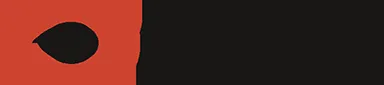Rannis logo