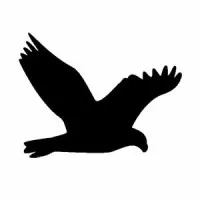 Raptorwebsolutions logo