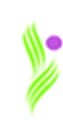 RAURnet Solutions