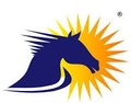 Raysteeds Infotech