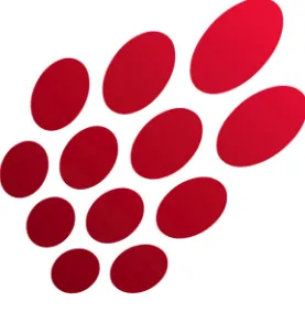 Razberi Technologies logo