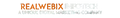 Realwebix Infotech
