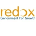 Redox Systems