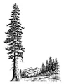 Redwood Contracting logo