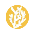 Reef Browser logo