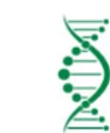 Retero life sciences