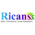 Ricans Green