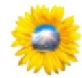 Rinova Solar