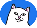 RIPNDIP logo