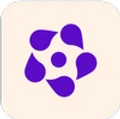 Riseflo logo