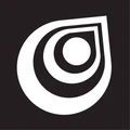 Rogue Board logo