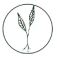 Root Functional Medicine logo