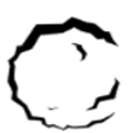 Roughpaper