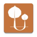 Runpando logo