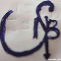 S N Battery Point logo