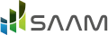 SAAM Development logo
