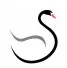 Sabre Financial logo