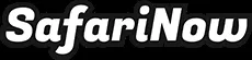 SafariNow logo