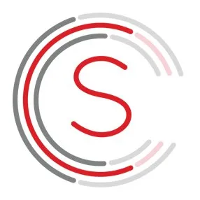 SafeNet Consulting logo
