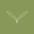 Sage Beacon logo
