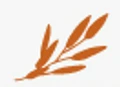 Sage Hill Capital logo