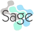 Sage Infotech