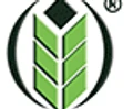 Sai Bhavya Seeds