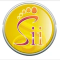 Saiitems Innovatives logo