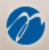 Saint Mark Holdings logo