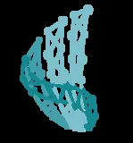 Saint Medical logo