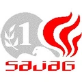 Sajag Securities