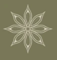Saka Organics