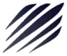 Saker Capital logo