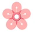 Sakura Energy Transport