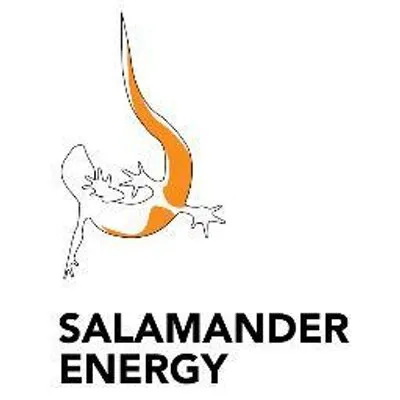 Salamander Energy logo