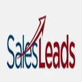 SalesLeads logo