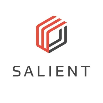 Salient Systems logo