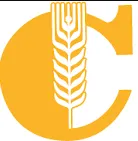 Salpa logo