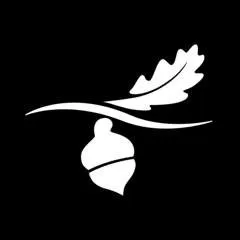 Salt Yard Group logo