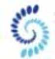 SalvationDATA logo