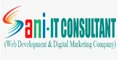 Sani It-consultant