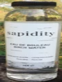 Sapidity logo