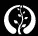 Sapling Multi Ventures