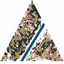 Saracen Mineral Holdings logo