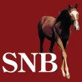Saratoga National Bank logo