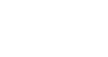 Sarju Impex