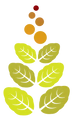 Sattvam