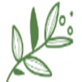 Satwa Naturals