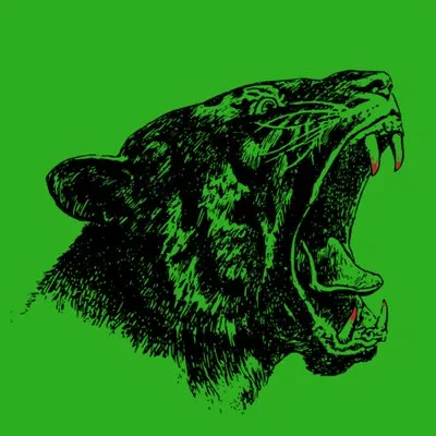 Savage Security logo