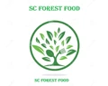 Sc Forest Food SRL logo